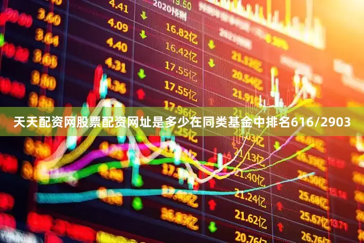 天天配资网股票配资网址是多少在同类基金中排名616/2903